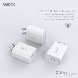 Chargeur à paroi de port unique wex - V8 et chargeur USB